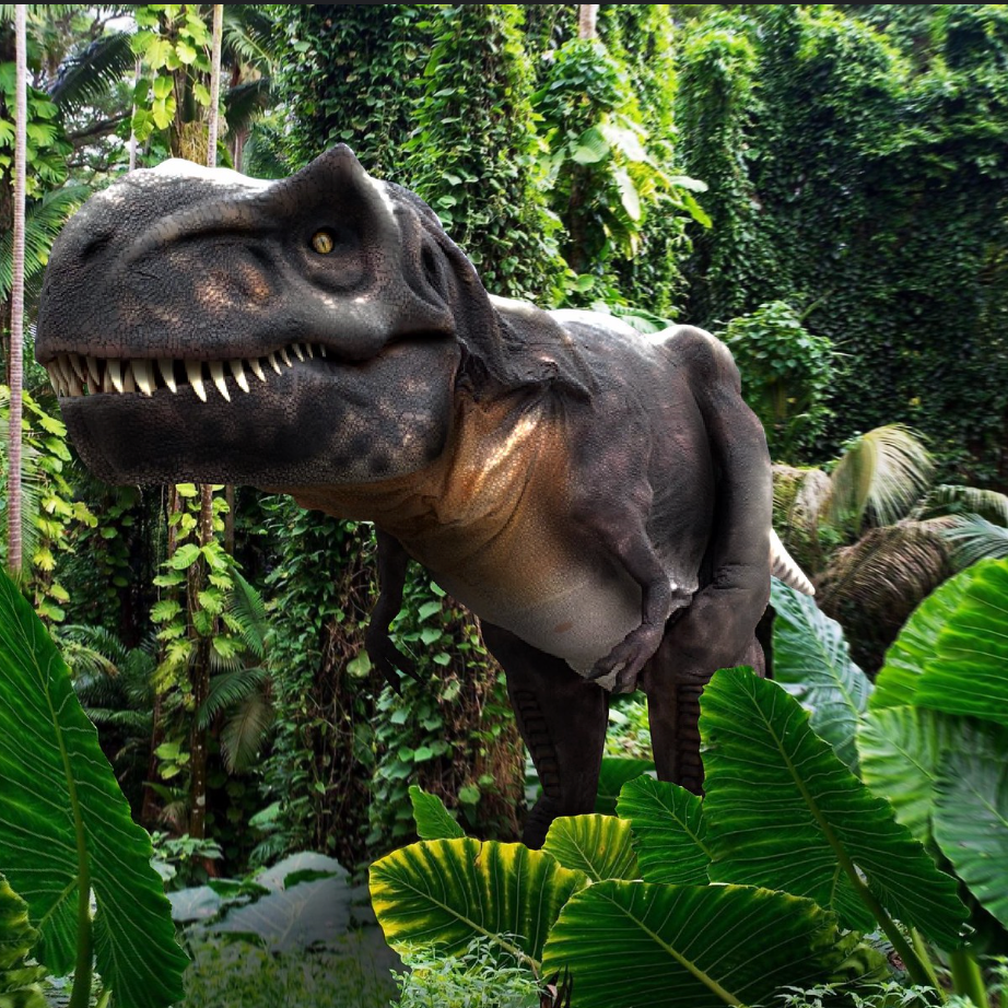 It's Never Too Soon To Chat!