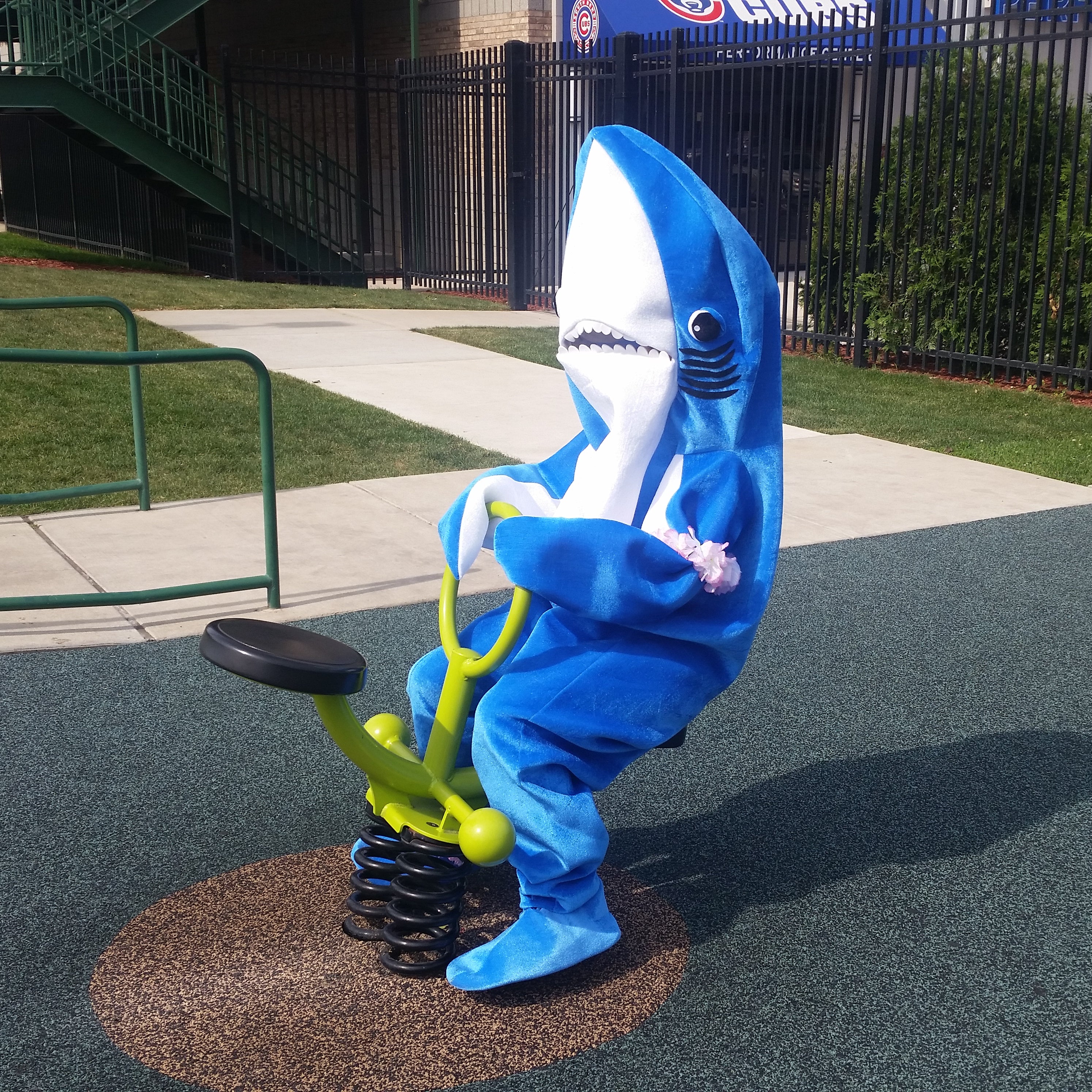 Left Shark; Costumed characters for events; Event entertainment