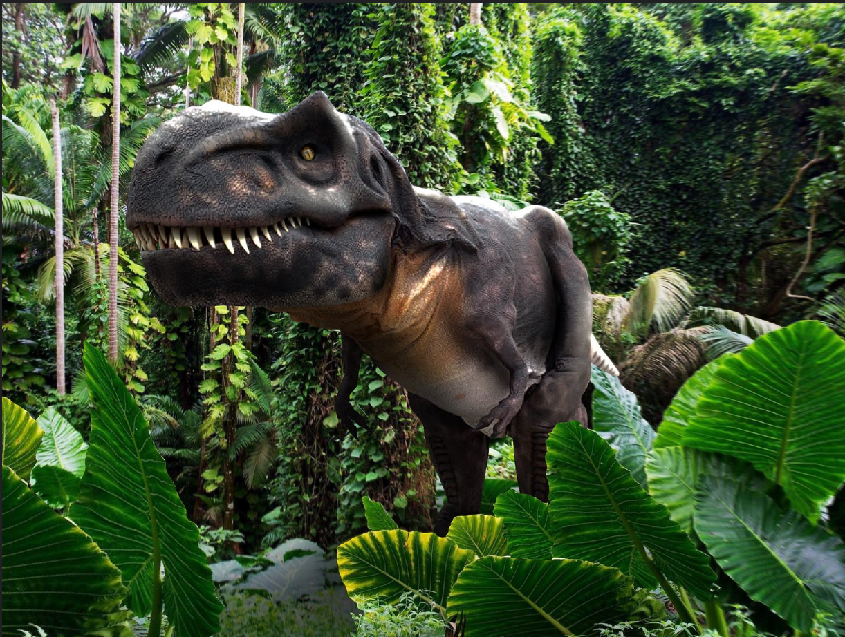 It's Never Too Soon To Chat!